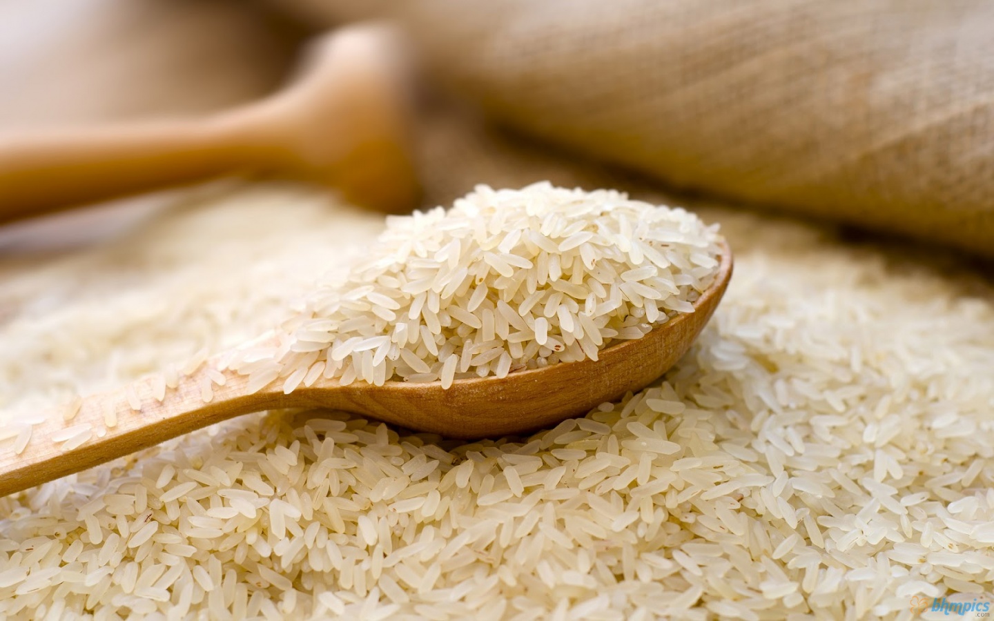 Indian Non Basmati Rice Traders