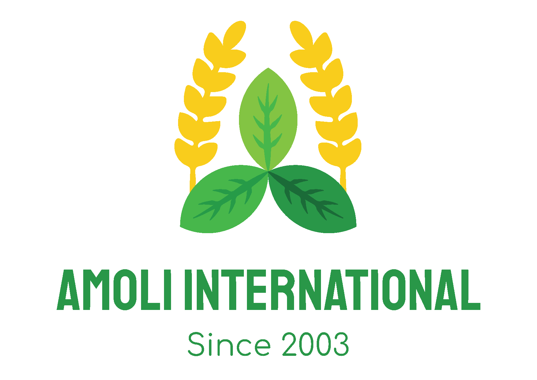 Amoli International