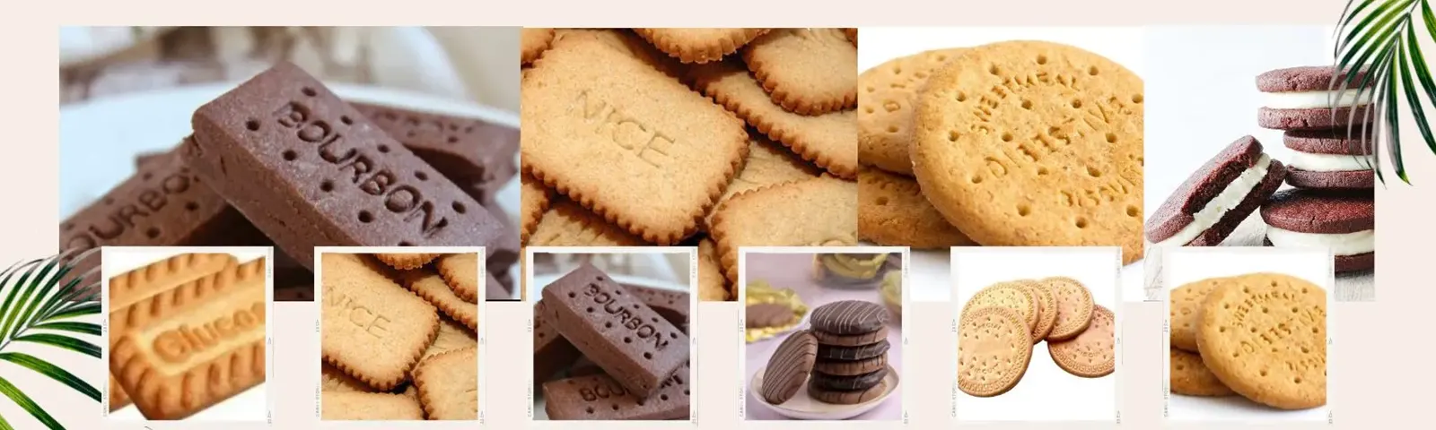 Export Bourbon, Cream & Wafer Biscuits from India