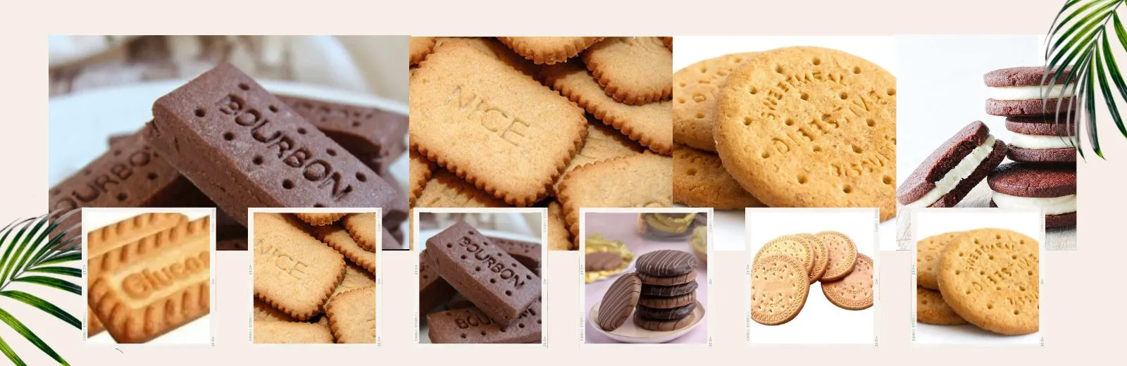 Export Bourbon, Cream & Wafer Biscuits from India