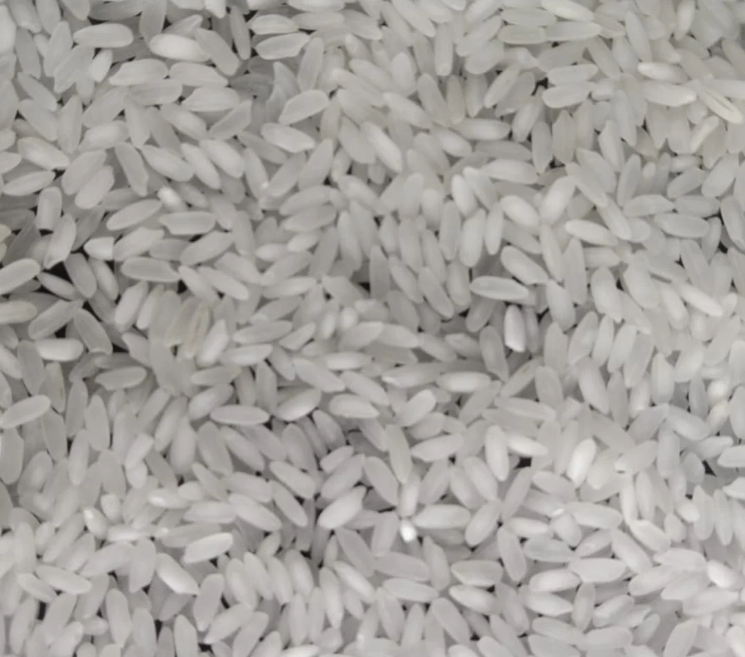 Indian Swarna White Rice